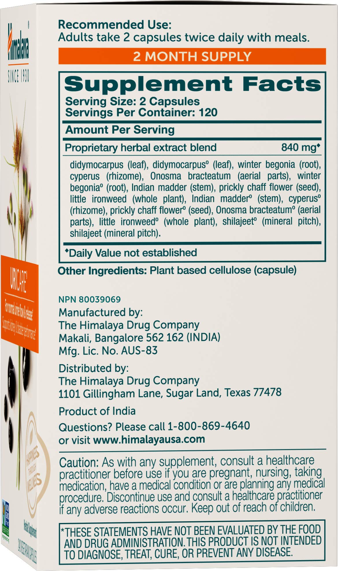 UriCare capsules ready for daily use and urinary support.