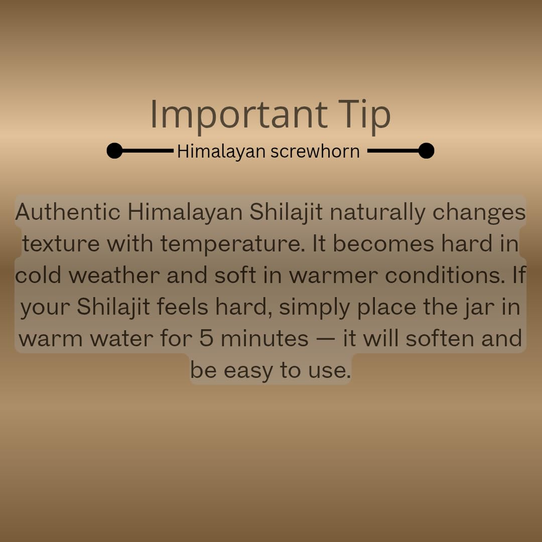 Himalayan Screwhorn Shilajit resin dissolving in warm water for easy use