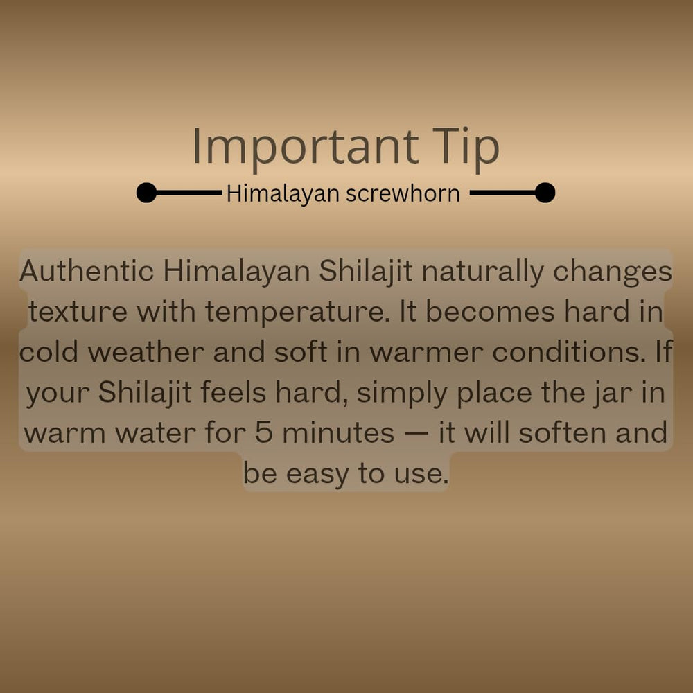 Himalayan Screwhorn Shilajit resin dissolving in warm water for easy use