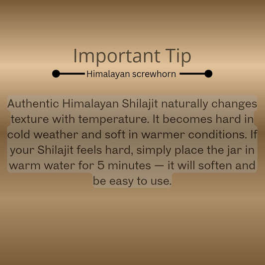 Himalayan Screwhorn Shilajit resin dissolving in warm water for easy use