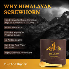 Himalayan Screwhorn Shilajit resin poured into a cup for daily consumption