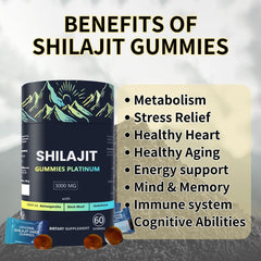 Hlonns Platinum Shilajit Gummy box with 60-count packaging.