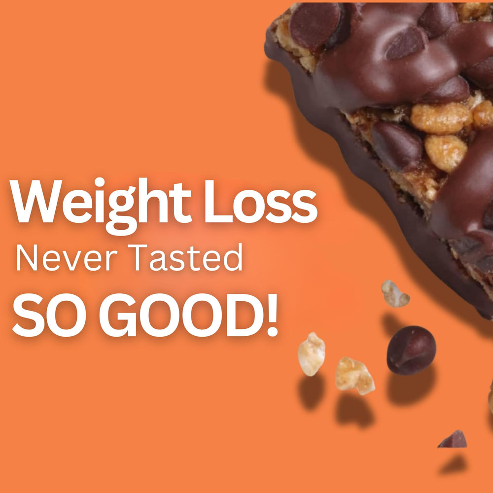 HMR chocolate peanut butter protein bar slice close-up showing interior