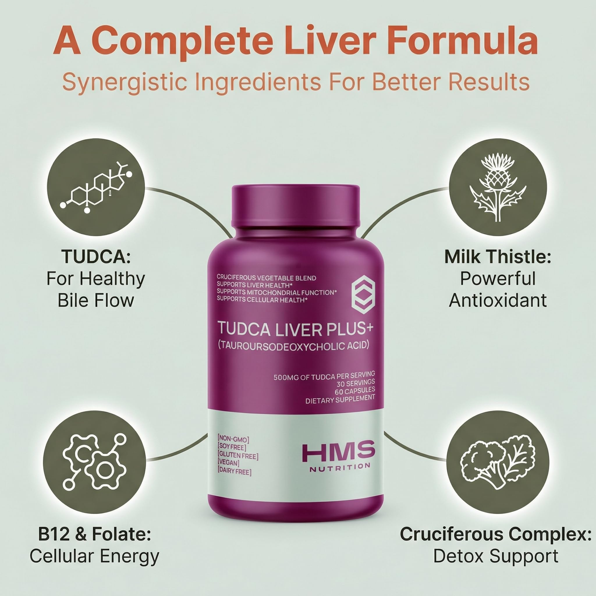 HMS Nutrition B12 and Folate tablets for daily vitality