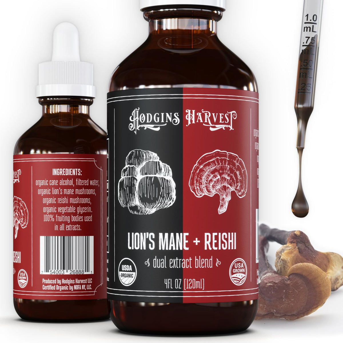 Hodgins Harvest Lion’s Mane Reishi tincture bottle for daily use