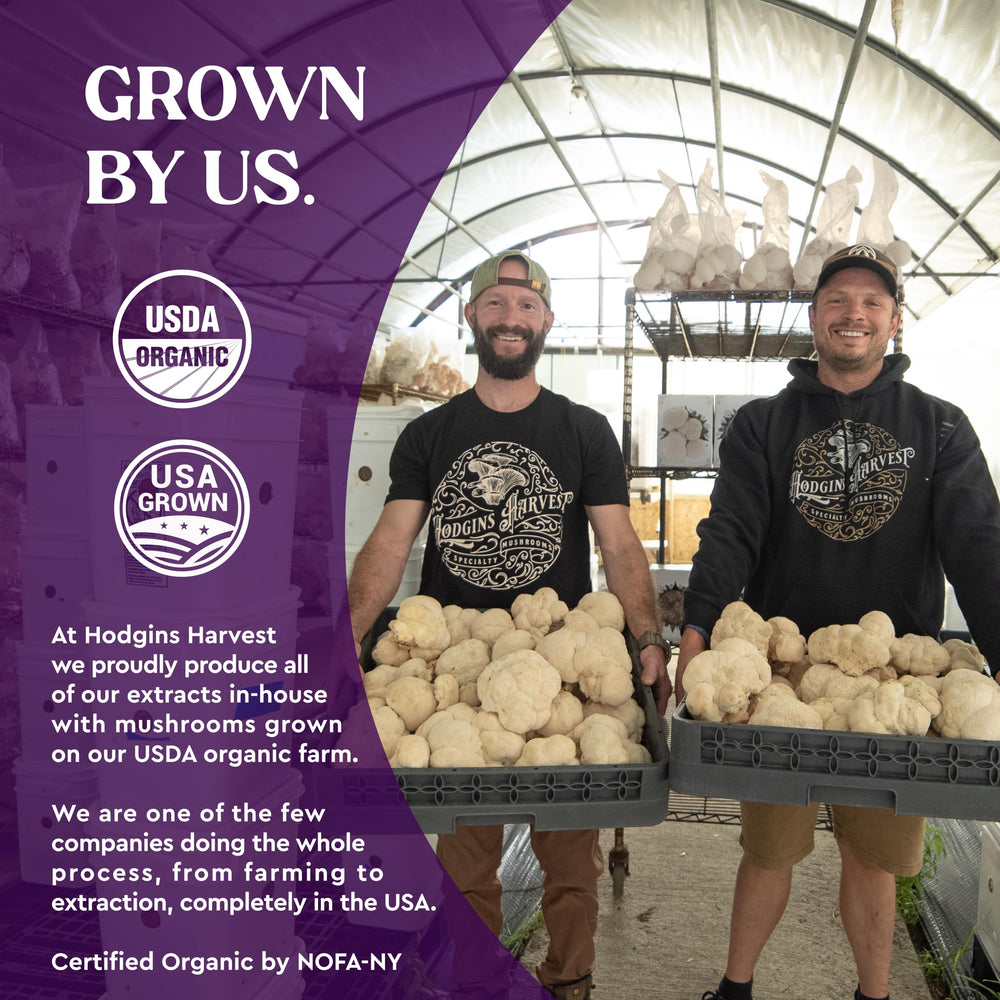 Hodgins Harvest organic turkey tail mushrooms grown on our USA farm