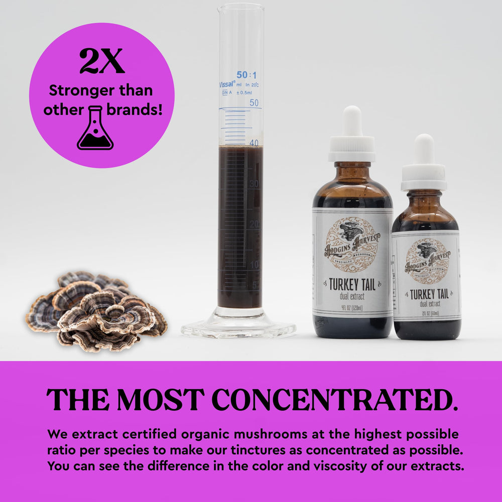 Close-up of the tincture dropper for easy daily dosing