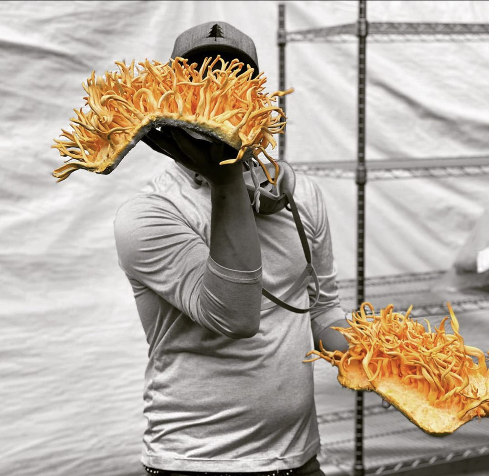 Hodgins Harvest USDA Organic certification emblem beside farm imagery