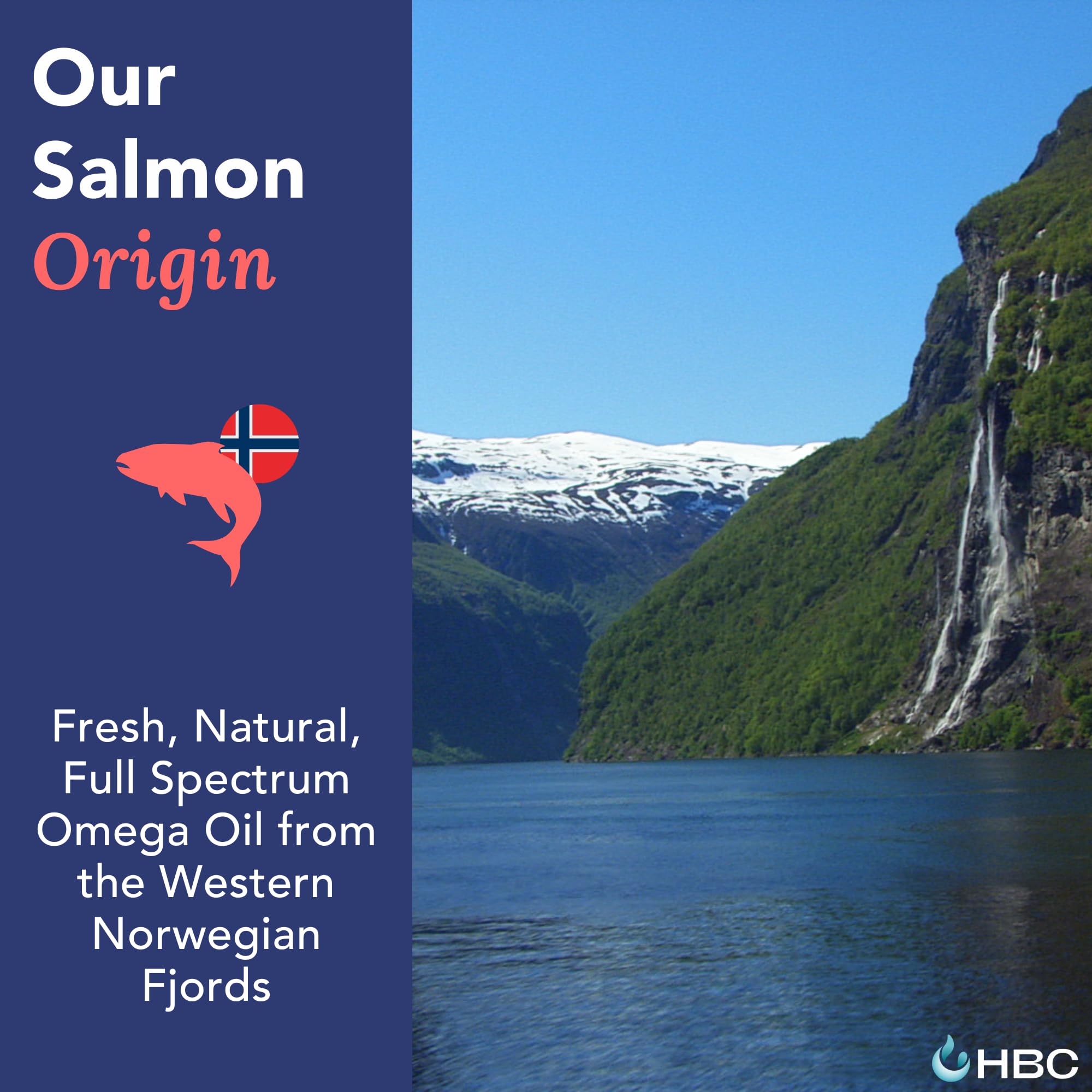 Hofseth BioCare Norwegian salmon oil icon indicating premium origin.