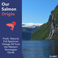 Hofseth BioCare Norwegian salmon oil icon indicating premium origin.