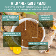 Holistic Bin Appalachian Ginseng Packaging conveys sustainable sourcing and premium standards.