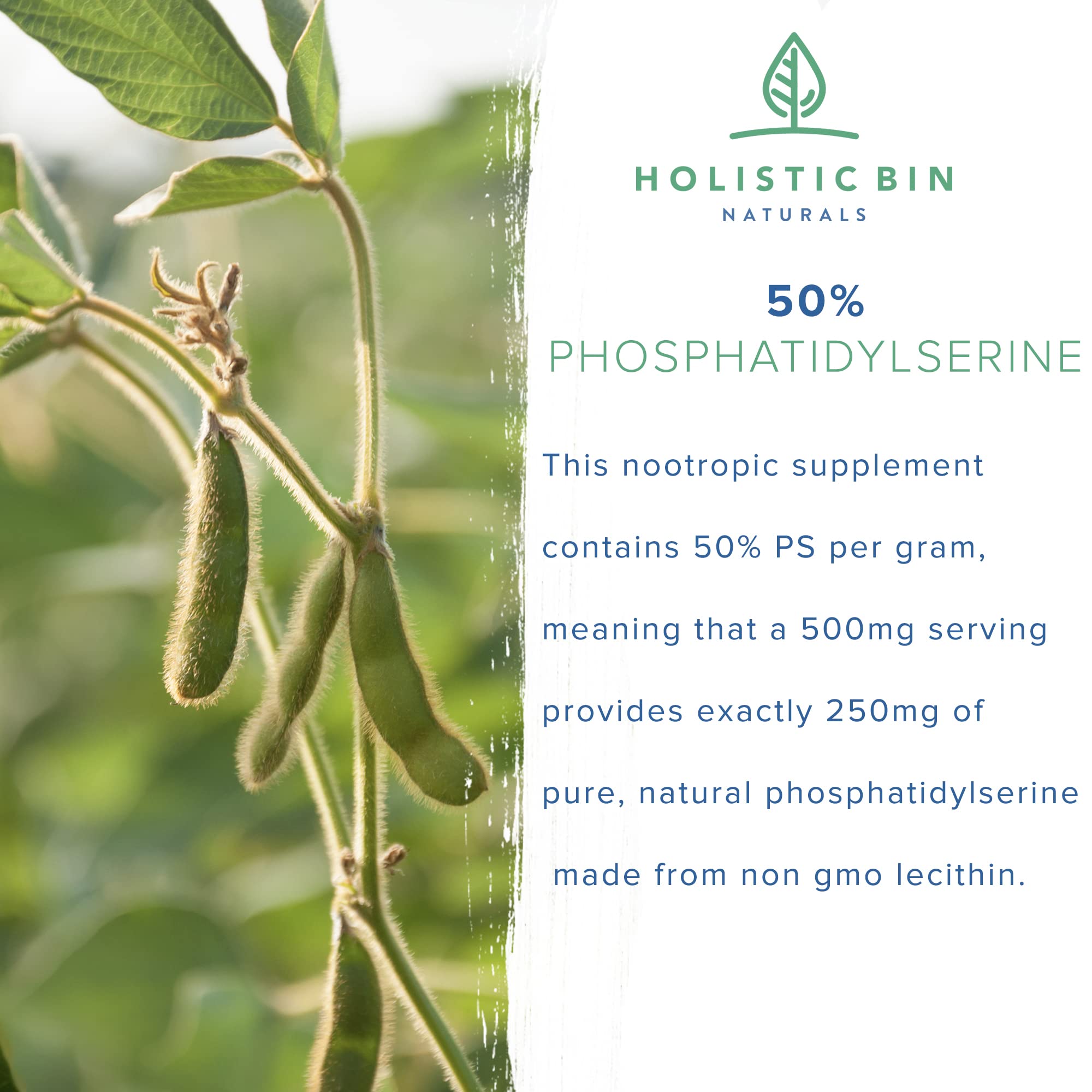 Holistic Bin lab-tested phosphatidylserine powder communicates quality and safety.