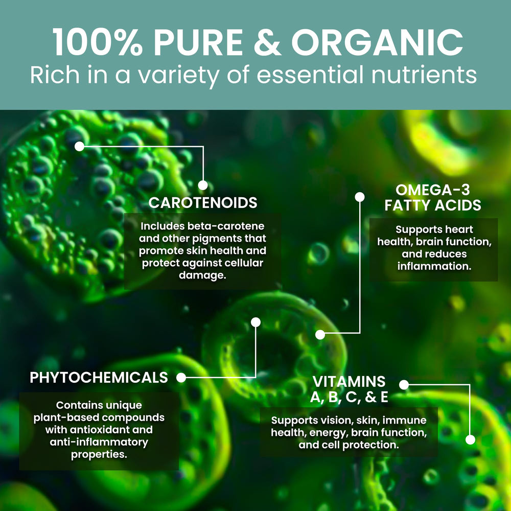 Holistic Bin Marine Phytoplankton powder ingredient-nutrients, highlighting vitamins and minerals.
