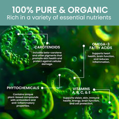 Holistic Bin Marine Phytoplankton powder ingredient-nutrients, highlighting vitamins and minerals.