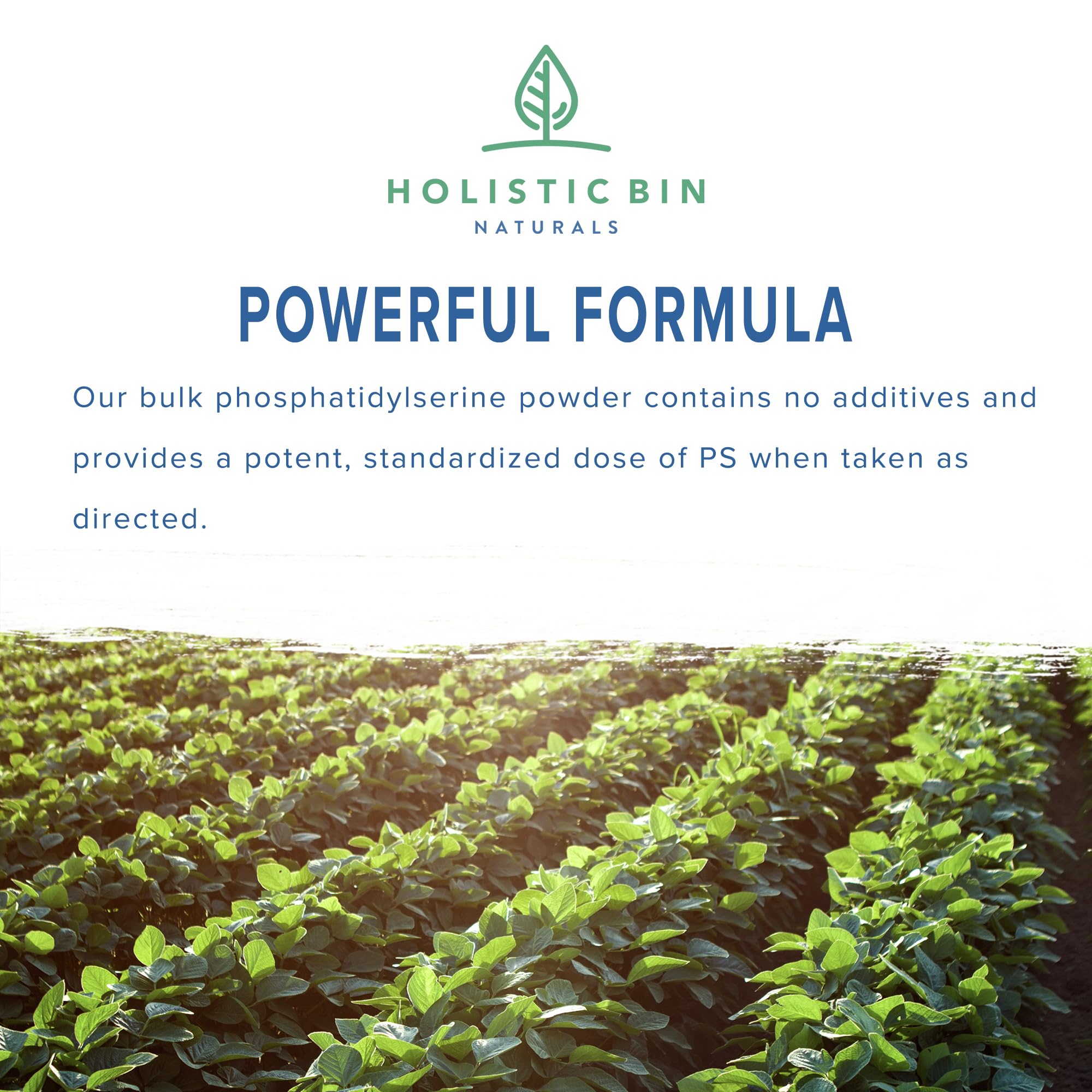 Holistic Bin PS powder with scoop highlights precise 50% PS per gram.