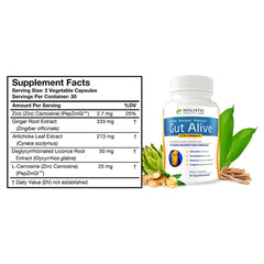 Gut Alive capsules close-up highlighting zinc-carnosine blend for gut lining support.