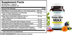 Holistic Health Labs Vision Alive Max ingredients showcase supports macular health and oxidative defense.