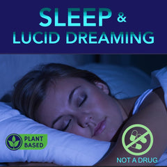 Holistic MD Lucid Dreams alpha gpc gummies for clearer mornings after sleep.