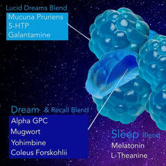 Holistic MD Lucid Dreams mucuna pruriens gummies support gentle night-time calm.