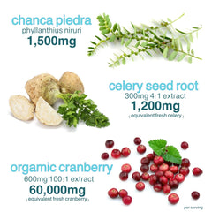 Holistic MD Stone Breaker label emphasizes sugar-free and gluten-free features.