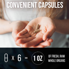 Holistic Method bottle and capsule vial display with nutrition facts label.