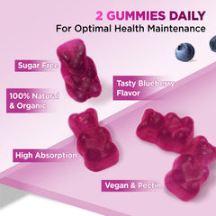 HOLLEGEND cortisol gummies in use for focus and calm
