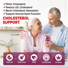 HOLLEGEND organic ingredients infographic emphasizing high bioavailability