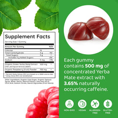 HOLYMARY Yerba Mate Gummies immune support for daily wellness during travel.