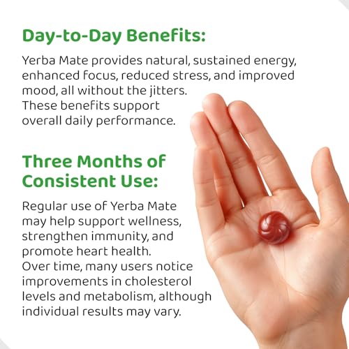HOLYMARY Yerba Mate Gummies in hand, ready to boost focus during work