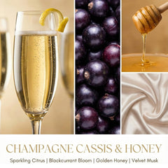 HomeLights champagne cassis honey fragrance with opulent notes.