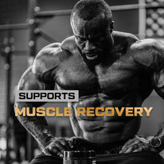 HOSSTILE Glutamine powder vegan non-GMO for plant-based athletes
