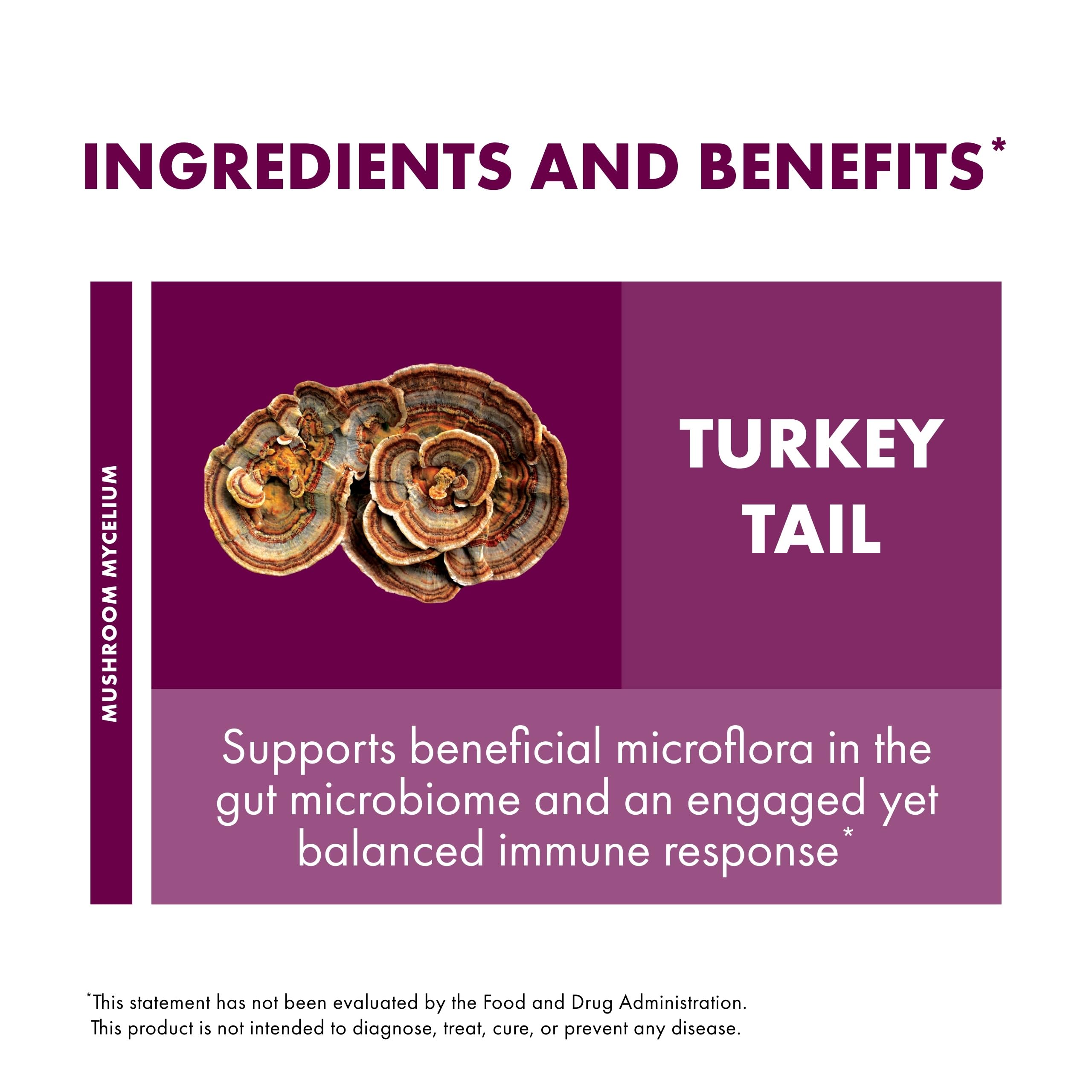 Host Defense brown rice substrate—organic cultivation supports turkey tail mycelium quality.