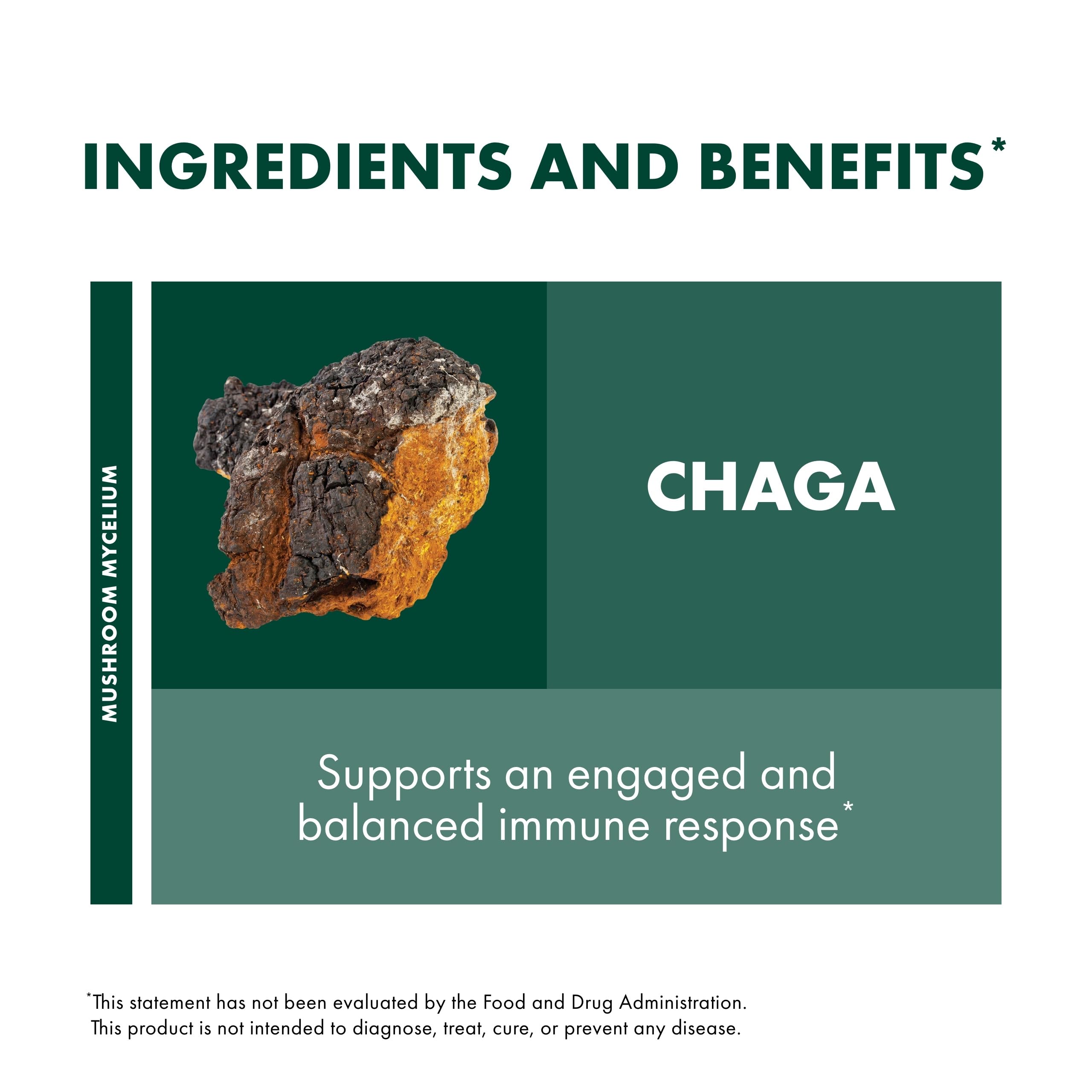 Host Defense Chaga Capsules how-to-take section guiding daily intake