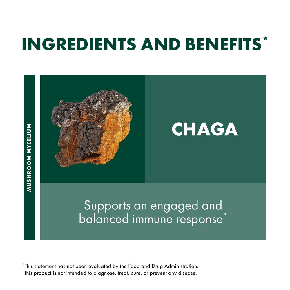 Host Defense Chaga Capsules how-to-take section guiding daily intake