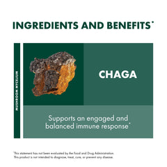 Host Defense Chaga Capsules how-to-take section guiding daily intake