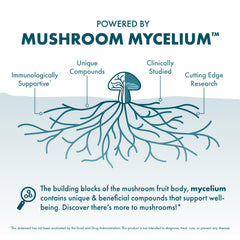 CordyChi featuring reishi mushrooms promoting balanced energy and calm.