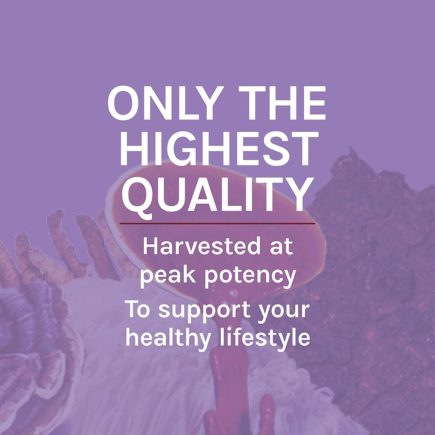 Host Defense packaging highlights organic, non-GMO formulation.