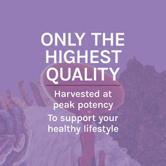 Host Defense packaging highlights organic, non-GMO formulation.