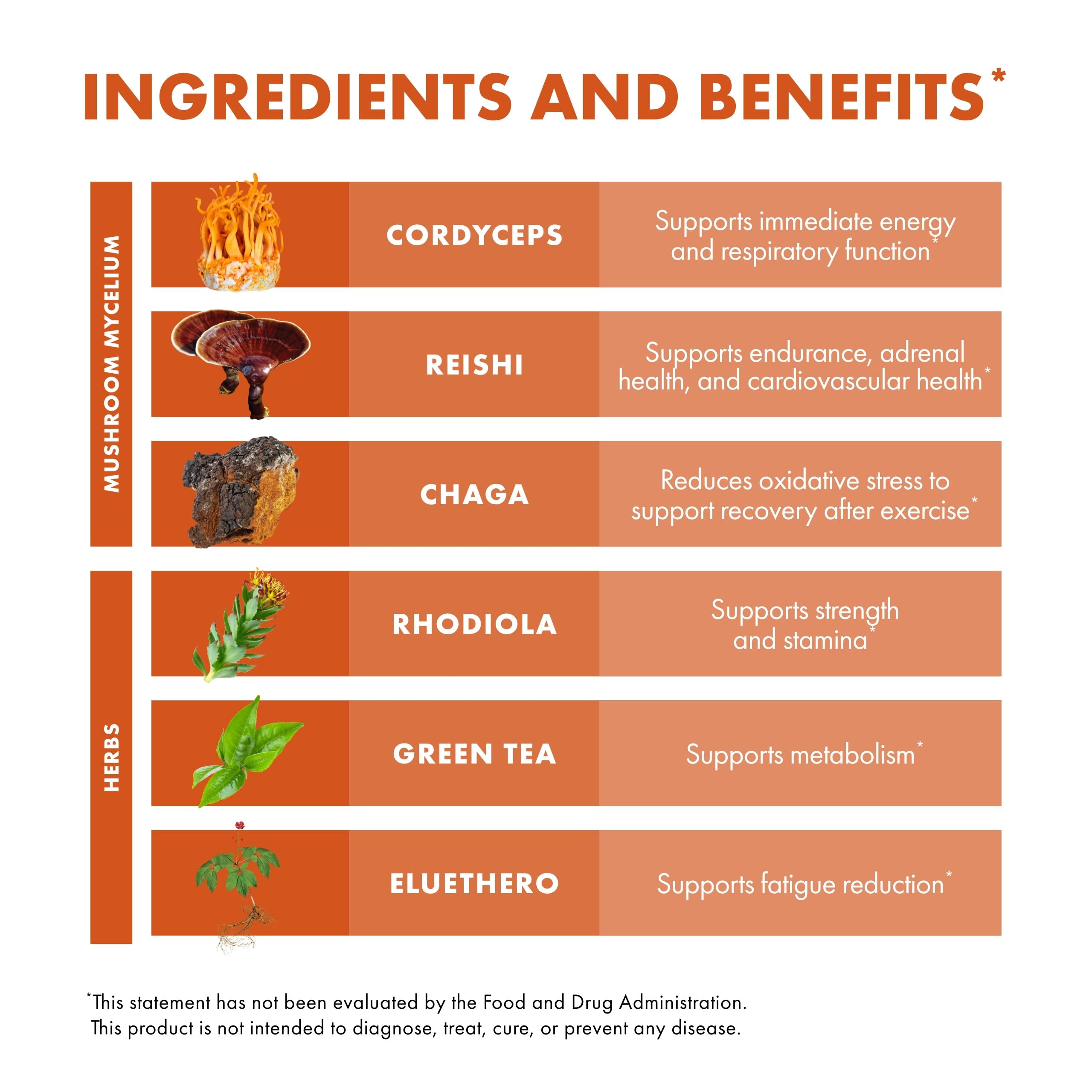 Host Defense green tea capsules in a jar emphasizing wellness benefits