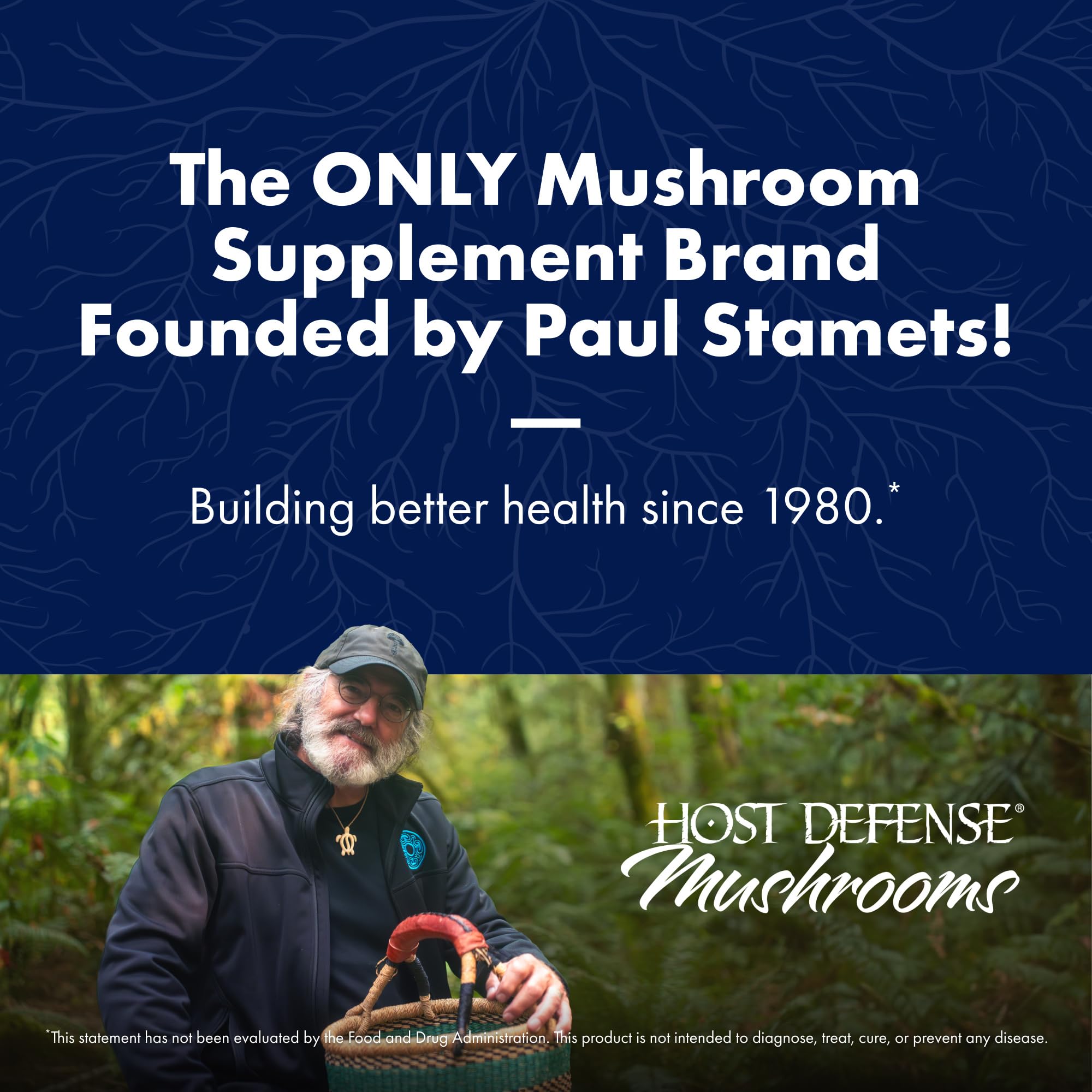 Dispensing spoon demonstrates easy daily dosing for Lion's Mane Powder.