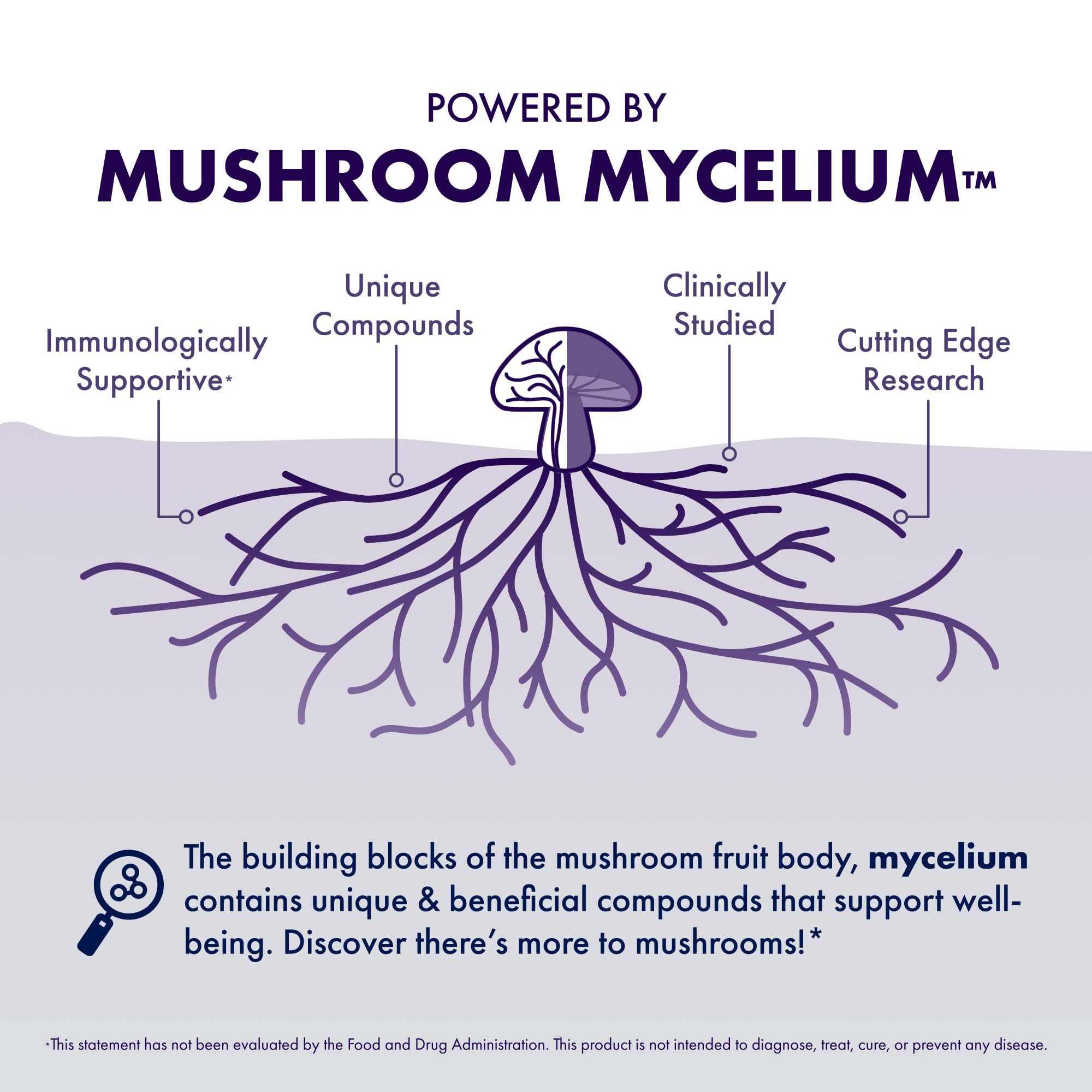 Host Defense MycoBotanicals Brain Capsules ingredients collage featuring Lion's Mane, Reishi, Cordyceps