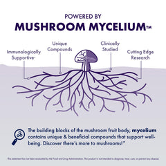 Host Defense MycoBotanicals Brain Capsules ingredients collage featuring Lion's Mane, Reishi, Cordyceps