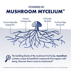 Host Defense MyCommunity mushroom blend closeup showing variety.