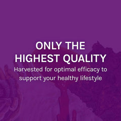 Host Defense MyCommunity USA-sourced mycelium underscores quality and transparency.