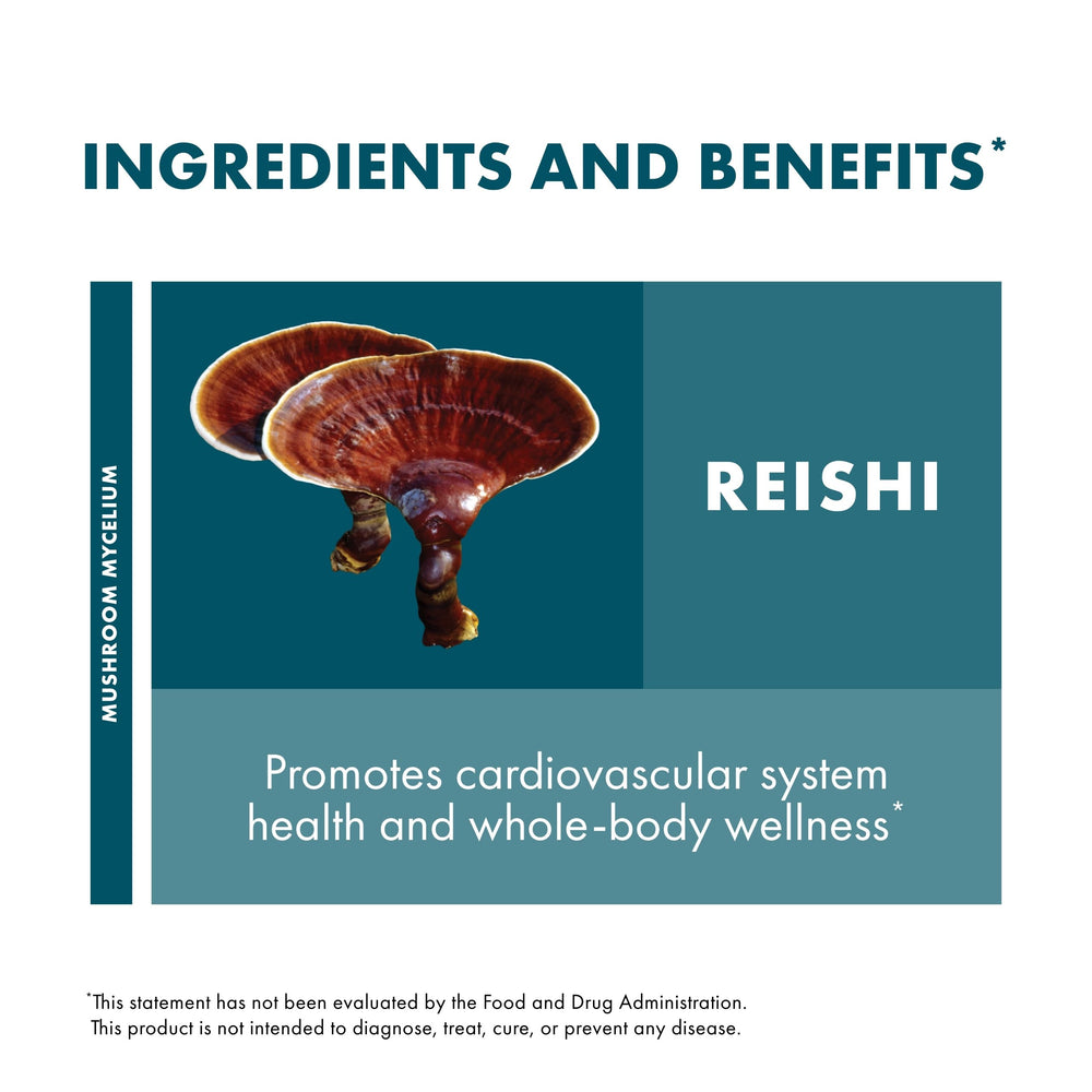 Host Defense Reishi capsules daily-use-setup showing simple routine for energy support