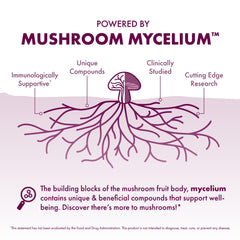Host Defense Turkey Tail mycelium on brown rice substrate signaling organic growth