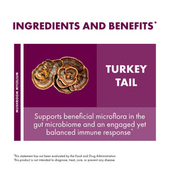 Host Defense Turkey Tail powder in glass jar for convenient daily use