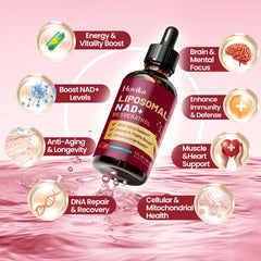Hovika NAD with trans-resveratrol close-up highlighting absorption support