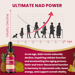 Hovika vegan non-GMO formula for clean NAD support