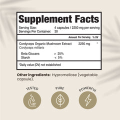 HPD Rx cordyceps capsules close-up suggests endurance benefit
